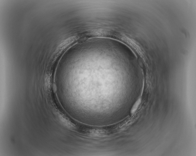 X0000113590105200909181340