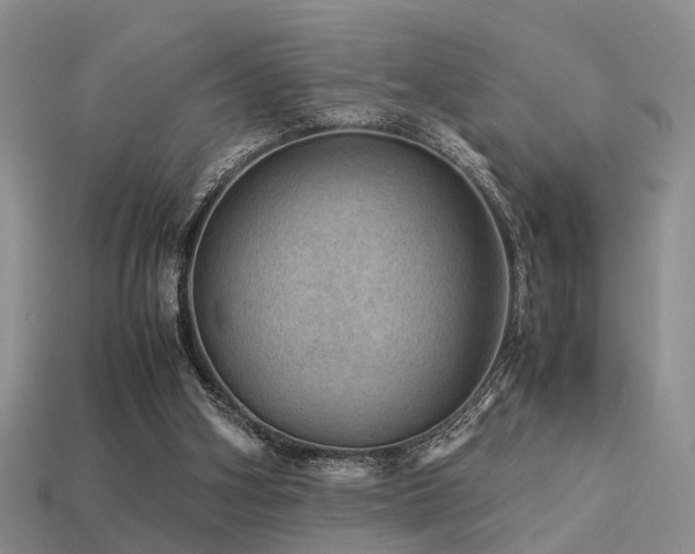 X0000113590106200909181340