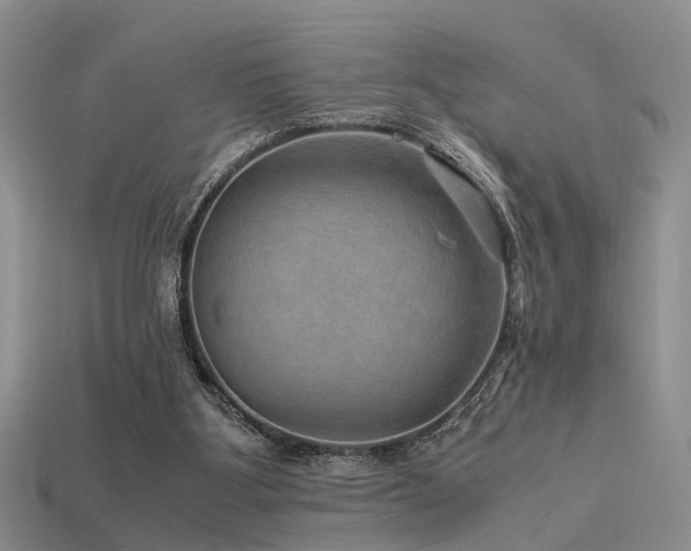 X0000113590107200909181340