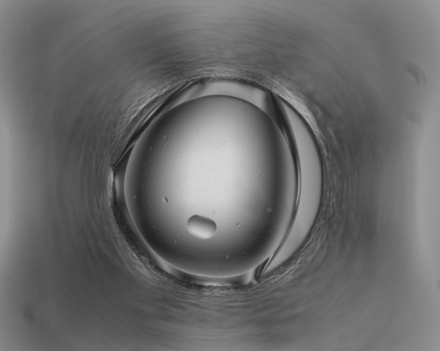 X0000113590109200909181340