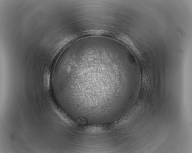 X0000113590110200909181340