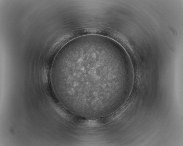 X0000113590114200909181339