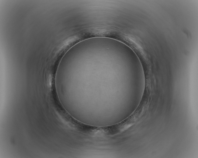 X0000113590115200909181339