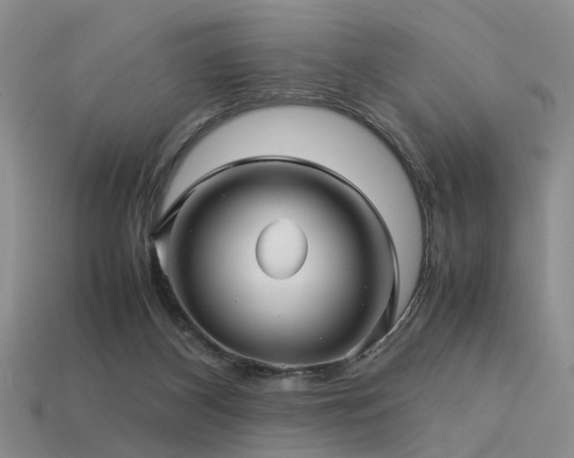 X0000113590116200909181339