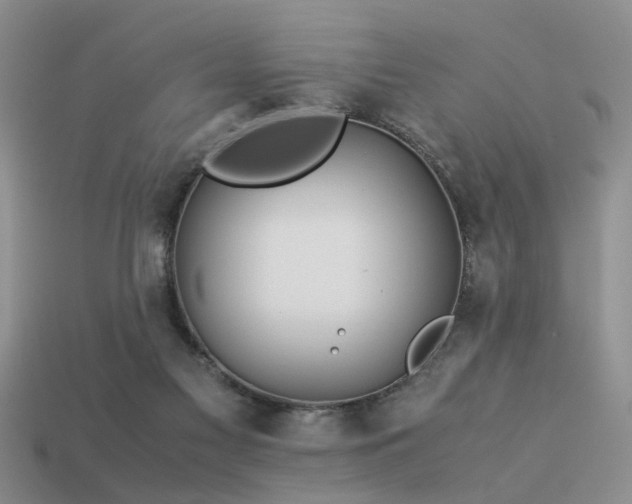 X0000113590117200909181339