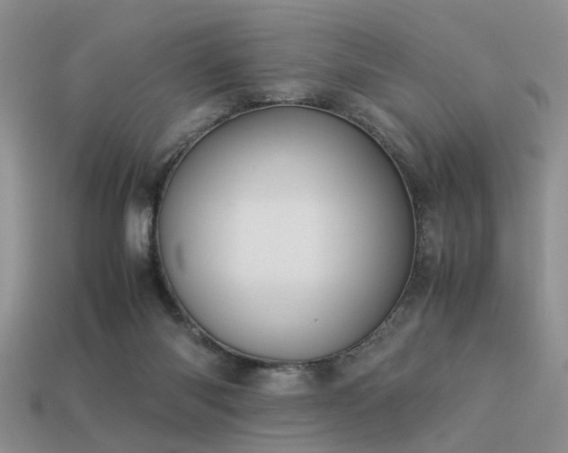 X0000113590118200909181339