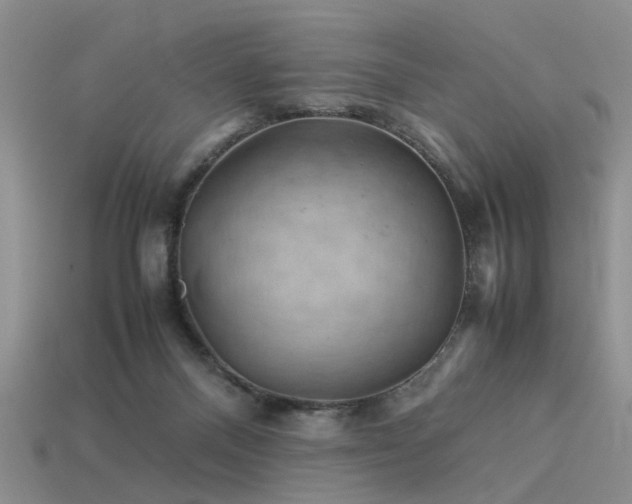 X0000113590120200909181339