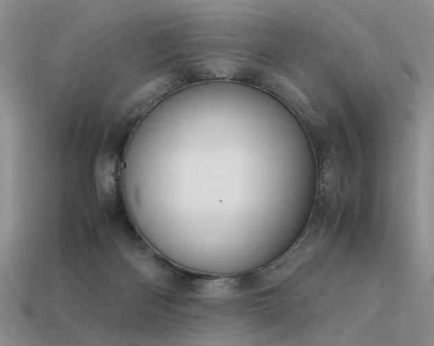 X0000113590122200909181339