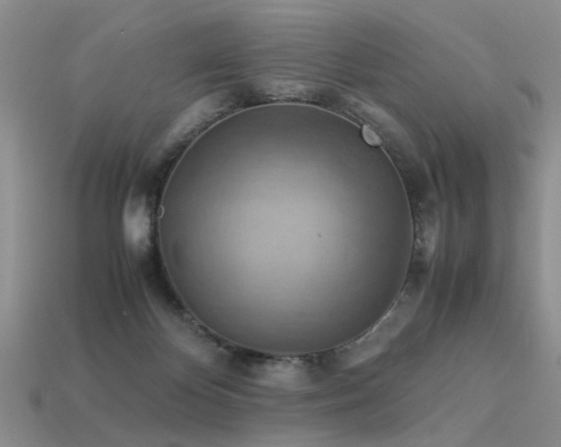 X0000113590124200909181339