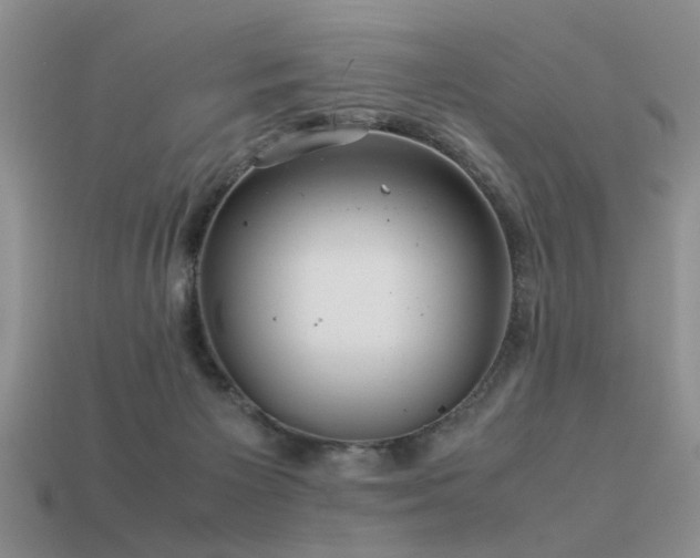 X0000113590125200909181339