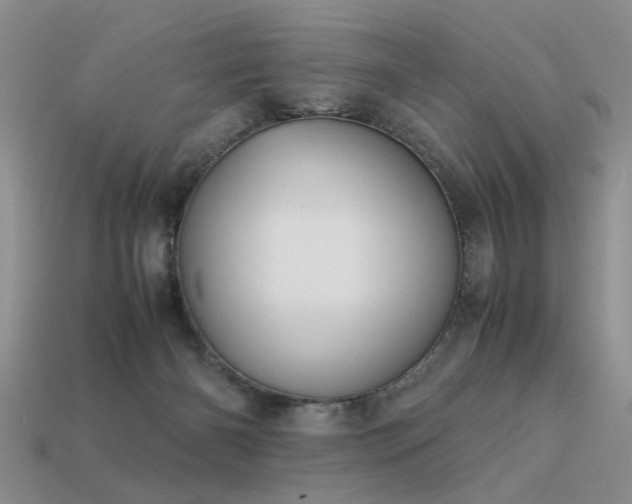 X0000113590126200909181339