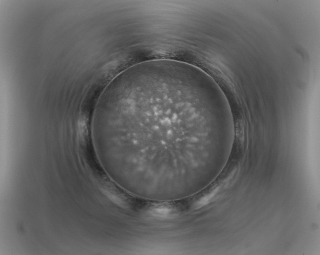 X0000113590127200909181339