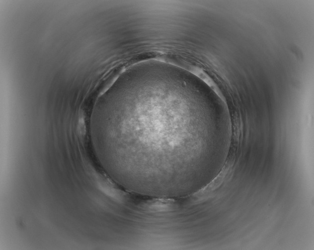 X0000113590128200909181339