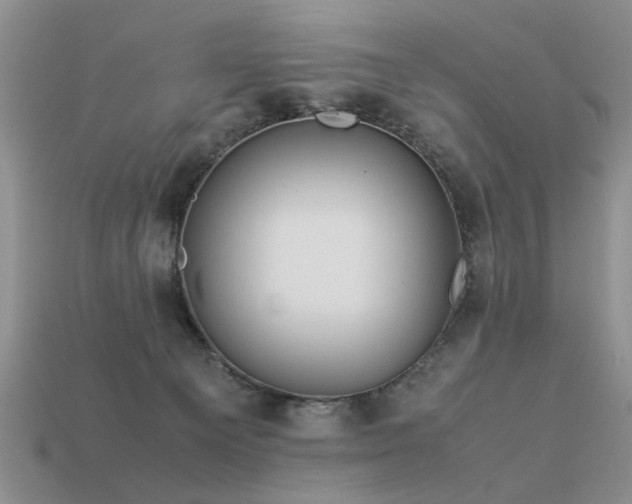 X0000113590129200909181339