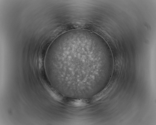 X0000113590130200909181339