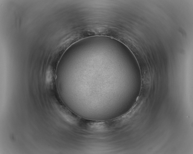 X0000113590132200909181339