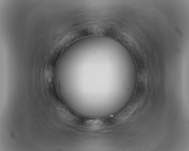 X0000113590133200909181339