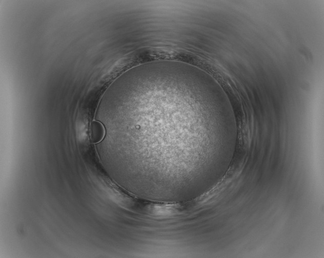 X0000113590134200909181339