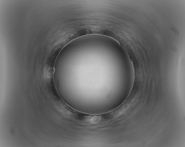 X0000113590135200909181339