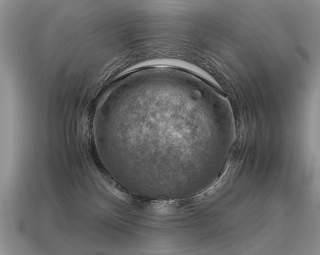 X0000113590136200909181339