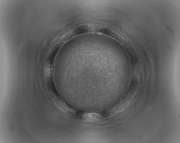 X0000113590137200909181339