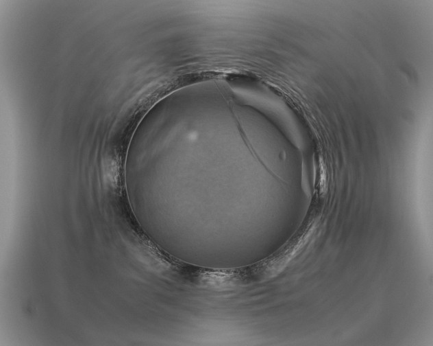 X0000113590139200909181339