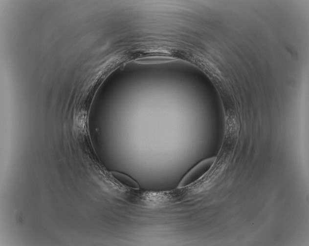 X0000113590141200909181339