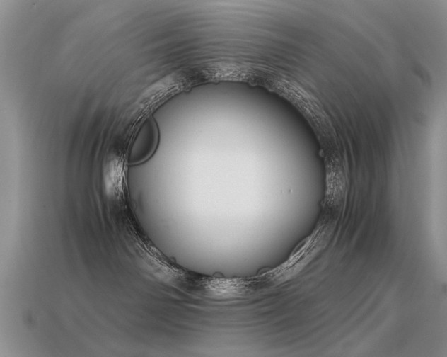 X0000113590142200909181339