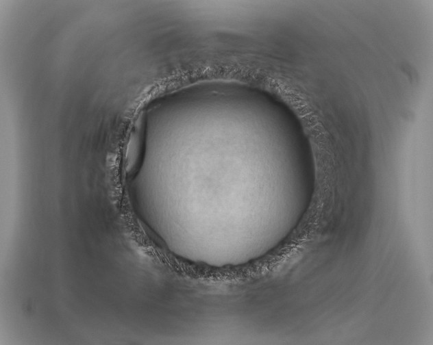 X0000113590144200909181339