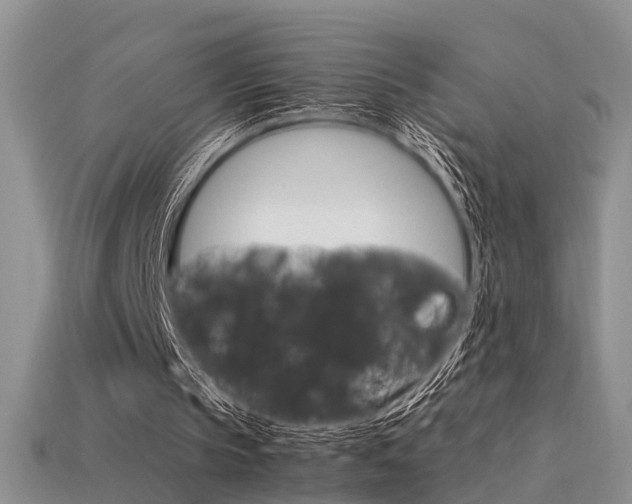 X0000113590145200909181338