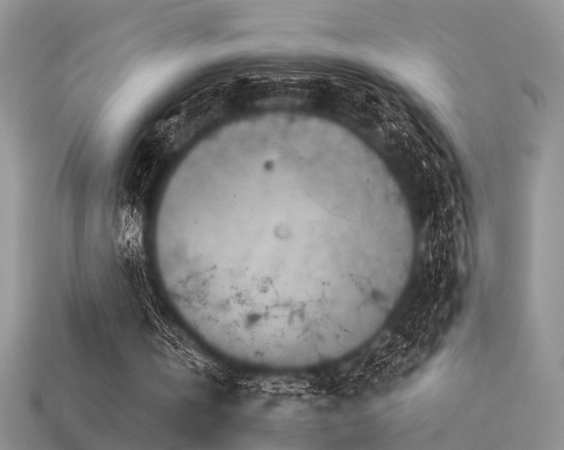 X0000113590146200909181339