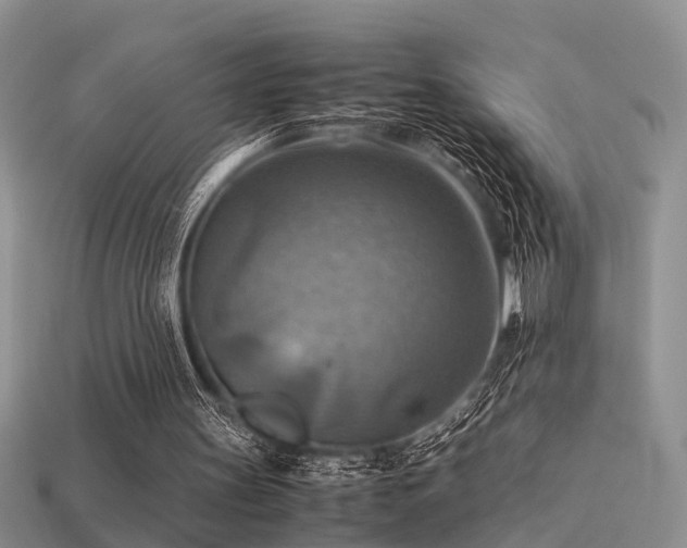 X0000113590147200909181339