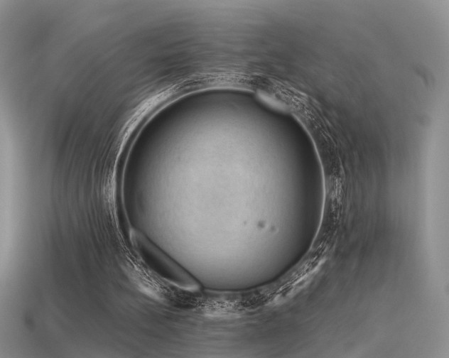 X0000113590148200909181339