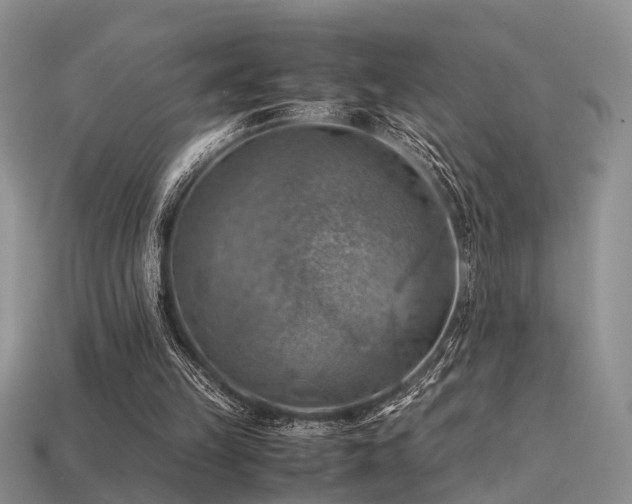 X0000113590149200909181339