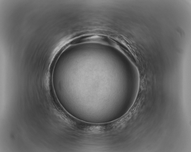 X0000113590152200909181339