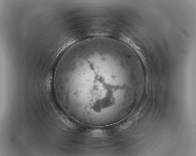 X0000113590153200909181339