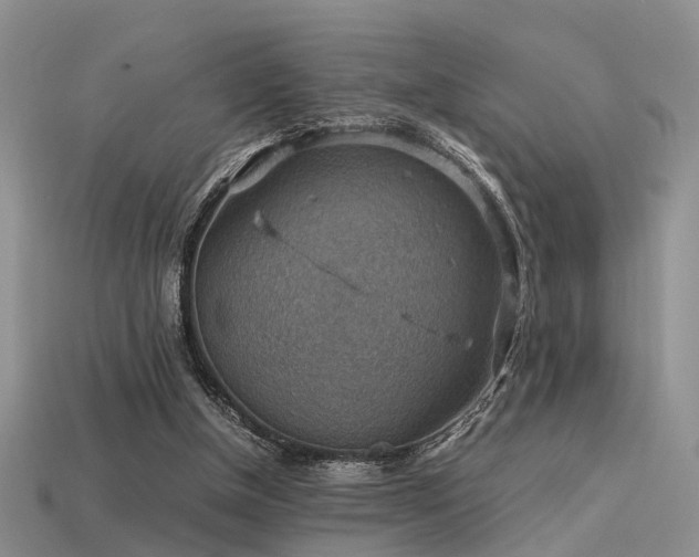 X0000113590154200909181339