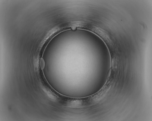 X0000113590156200909181339