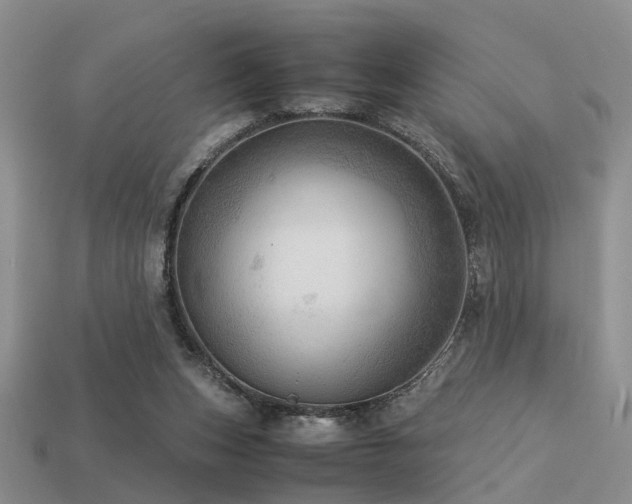 X0000113590159200909181339