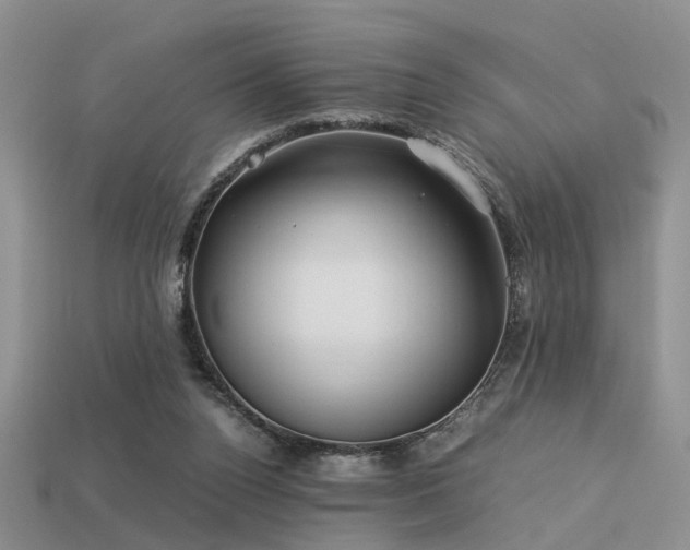 X0000113590160200909181339