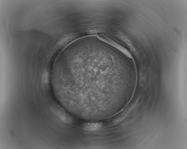 X0000113590161200909181339