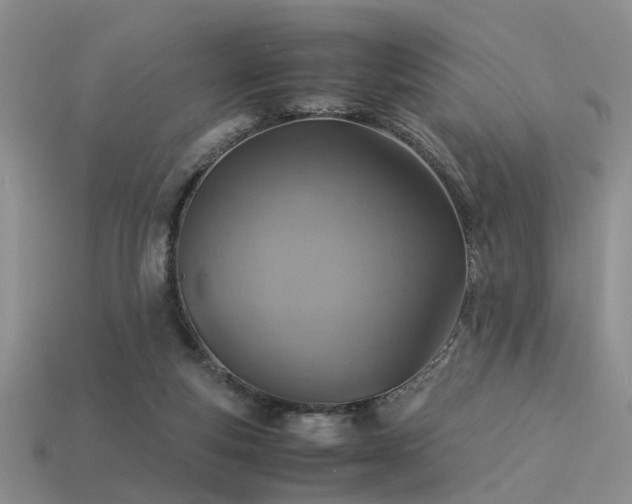 X0000113590163200909181339