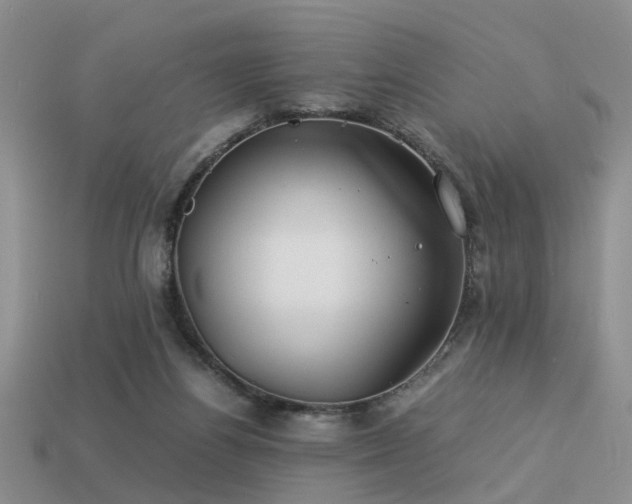 X0000113590164200909181339