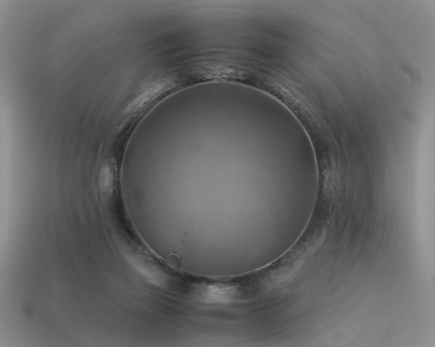 X0000113590165200909181339