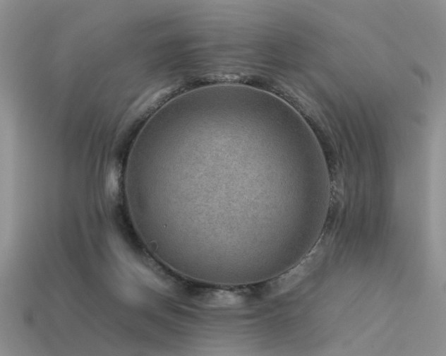 X0000113590166200909181339