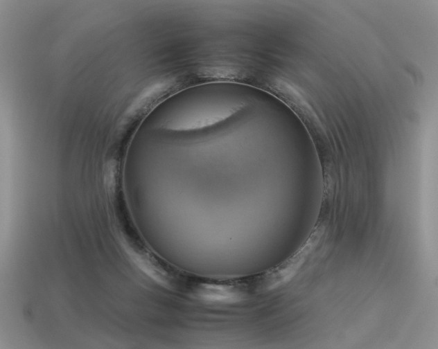 X0000113590167200909181339