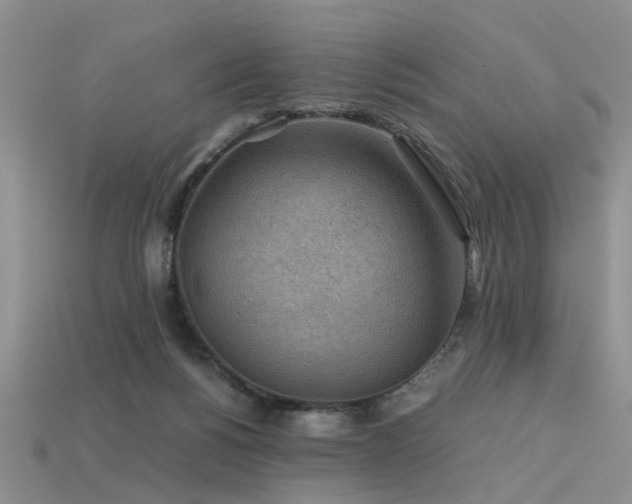 X0000113590168200909181339