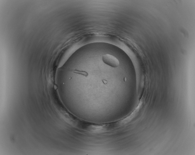 X0000113590170200909181339