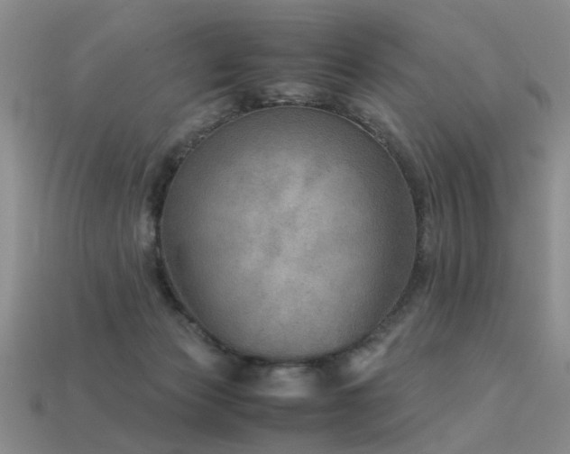 X0000113590173200909181339