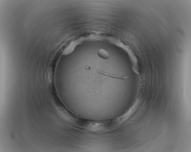 X0000113590174200909181339